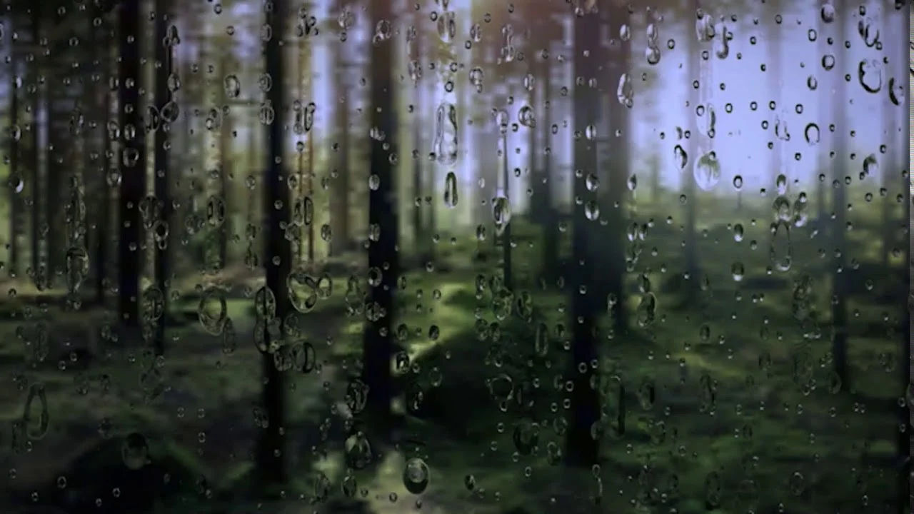 Rain lullaby